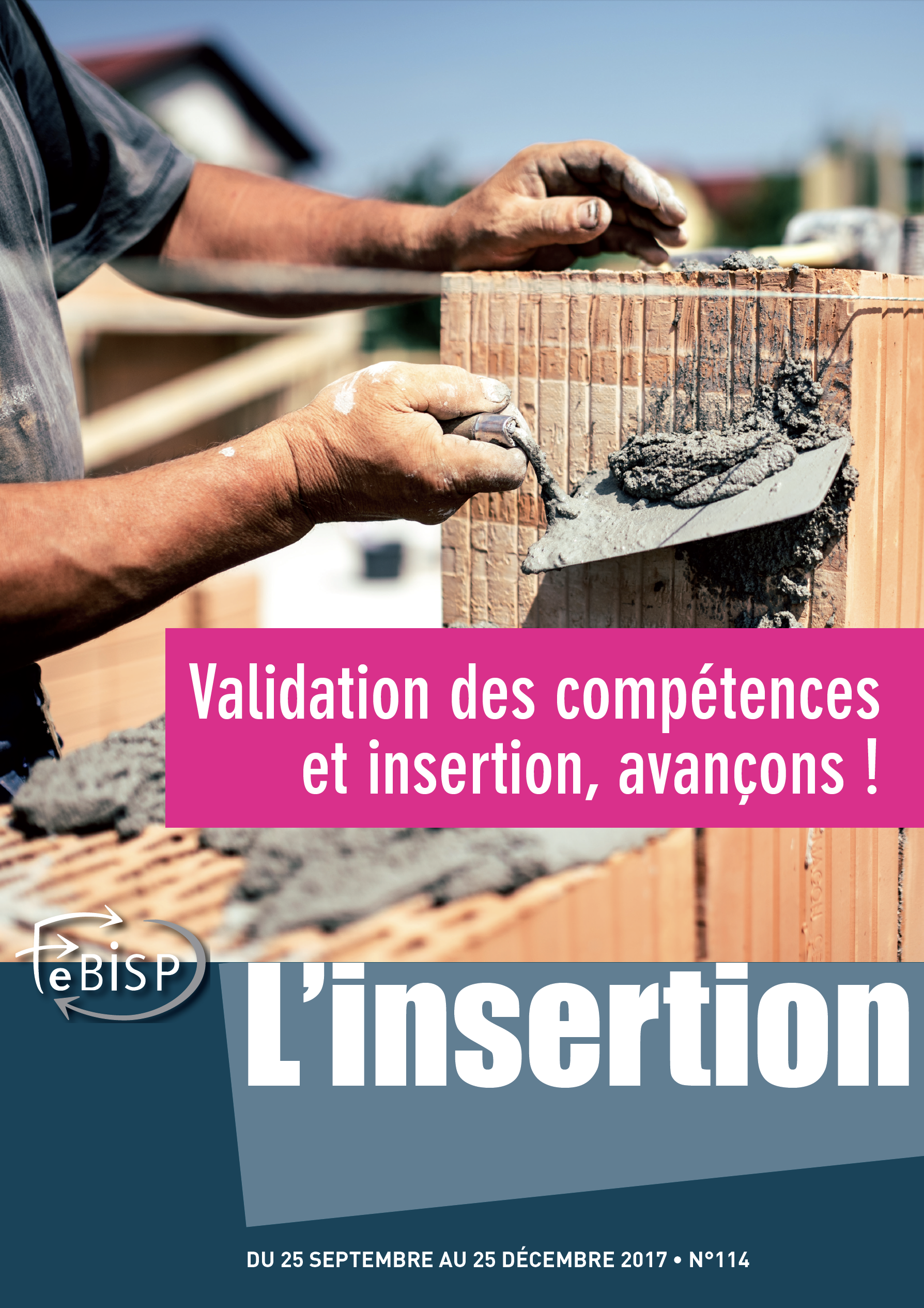 N°114 - Validation des compétences et insertion, avançons !