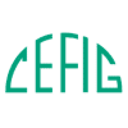 logo:CEFIG asbl